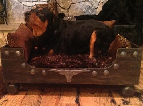 Luxury Designer Rustic Pet Bed - Posh Puppy Boutique Luxury Designer Rustic Pet Bed - Posh Puppy Boutique