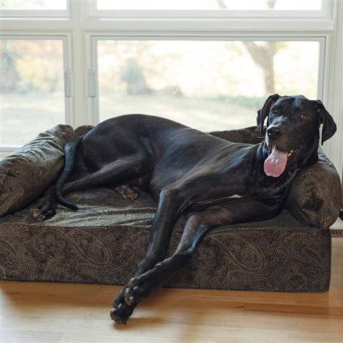 designer dog beds - posh puppy boutique