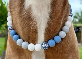 luxury dog accessories - posh puppy boutique