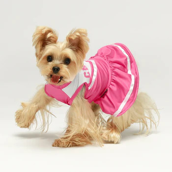 designer dog clothes - posh puppy boutique