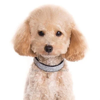 dog collar boutique - posh puppy boutique